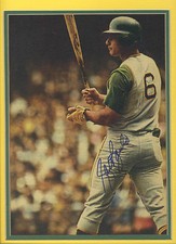 Signed Autographed Matted 11 X 14 A's Sal Bando