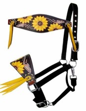 Showman Adjustable Nylon Bronc Halter w/ Sunflower Inlay Nose Band FREE SHIP 