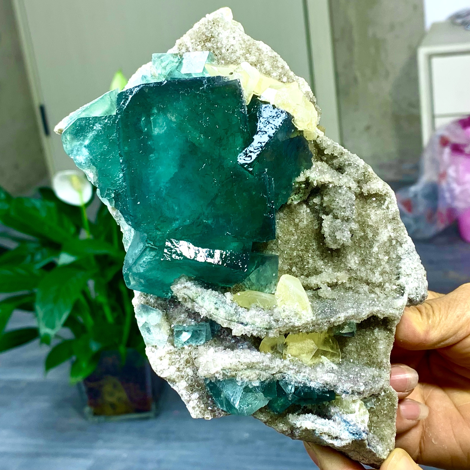 2.83LB Rare Blue Green Transparent Cubic Fluorite Crystal Specimen from China
