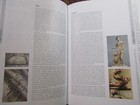 Bild 12 von 12