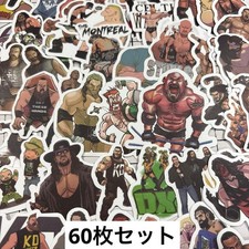 WWE Pro Wrestler Sticker Set of 60 Stickers Sticker