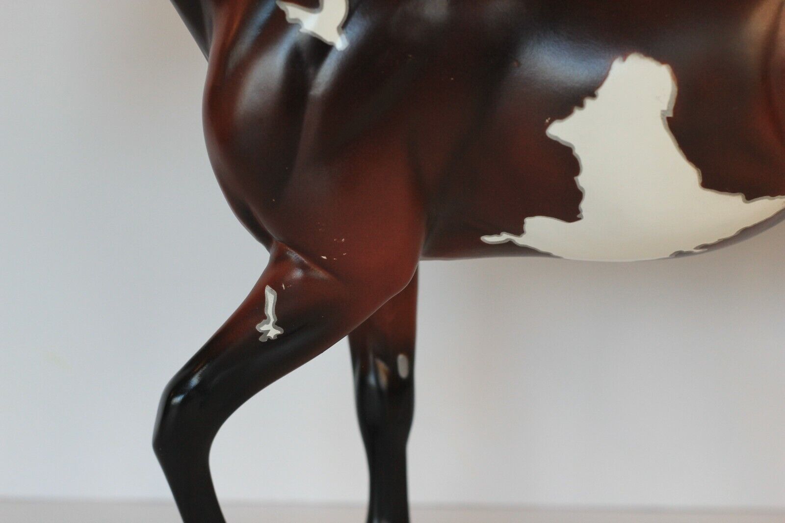 Bild 8 von 12