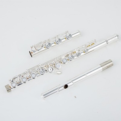 flute Sliver Flute 17 Open Hole C Tune E key instrument Professional with Case -