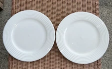 Sonoma HORIZON 2 White Dinner Plates Life & Style Embossed Rim Rings 10"