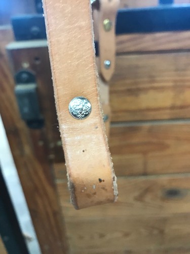 Nuovo Headstall Western orecchio singolo pelle colore chiaro spedizione gratuita negli Stati Uniti HR 1 - Foto 8 di 10