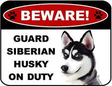 Beware Guard Siberian Husky v1 on Duty 11.5" x 9" Laminated Dog Sign