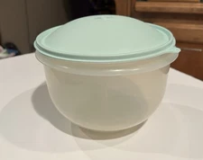 Tupperware Crisp It Lettuce Keeper Storage 1424 Clear Bowl Mint Lid Clear Spike