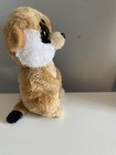 Foto 4 di 5