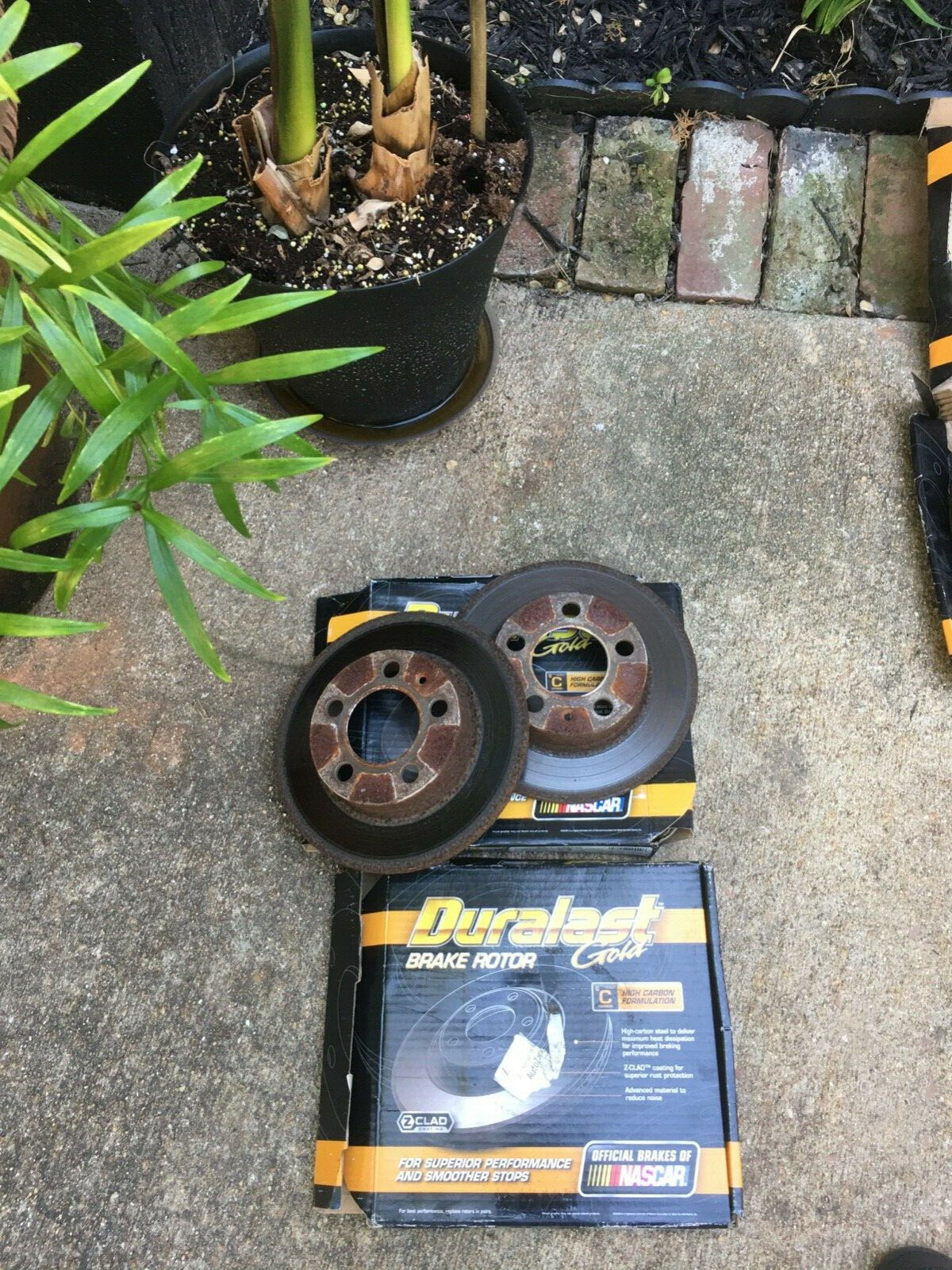 Picture 4 of 5