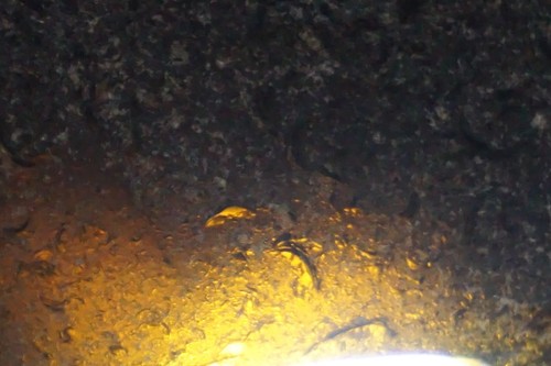 Schwarzmeer Glas - 94g SELTENSTES ÄLTESTES Pirat 1700er Sydney Cove Australien #dow7 - Bild 5 von 5