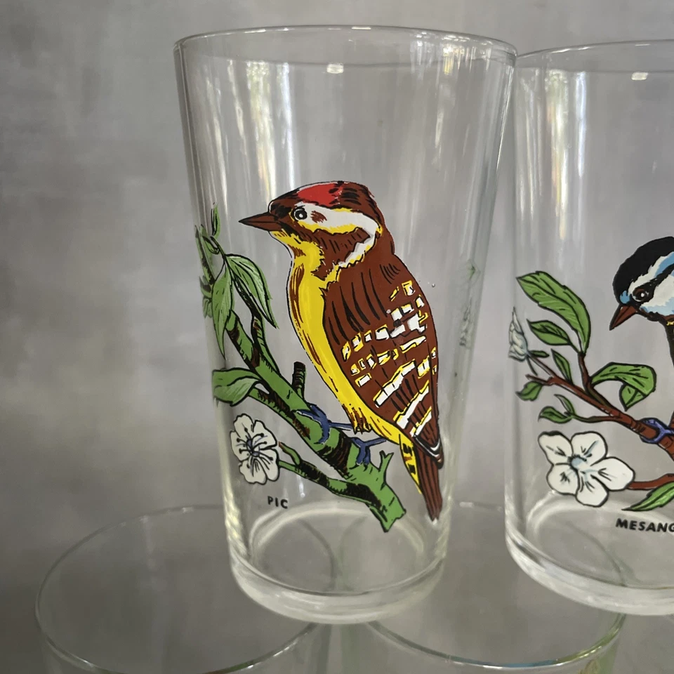 5 verre VMC Reims à décor d'oiseaux dt mésange troglodyte martin pécheur pic etc - Photo 2/4