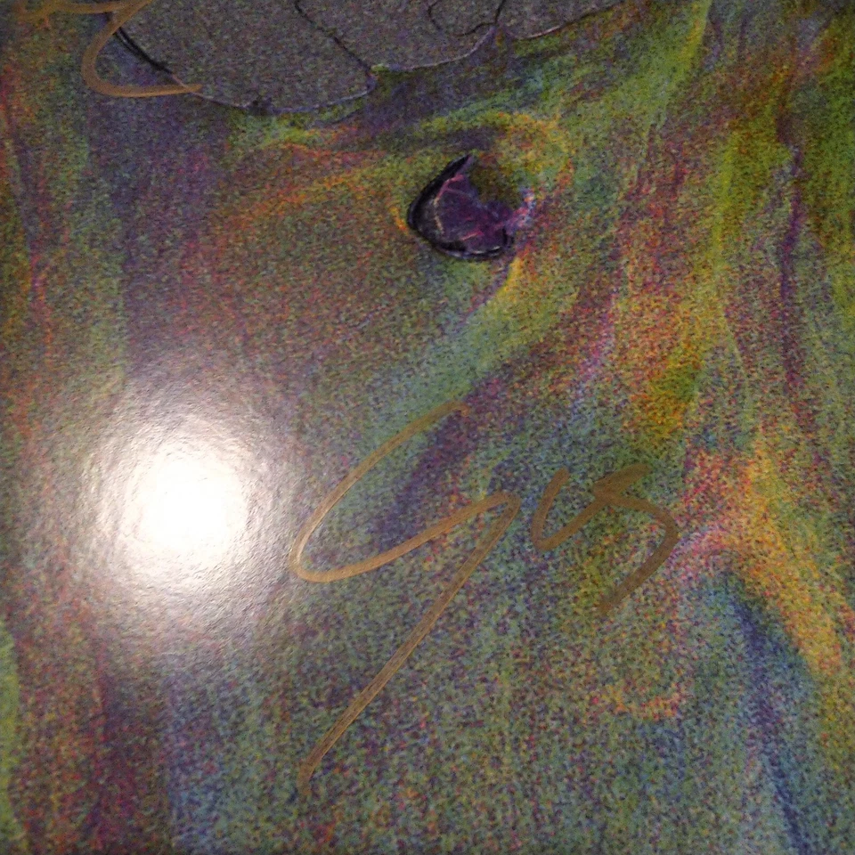 SIGNED Alt-J - An Awesome Wave  vinyl autographed - Image 2 of 4