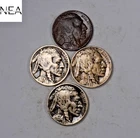 1924+1925+1926+1927 Buffalo Nickel Set/Lot ~ VF/XF ~ ZBL41