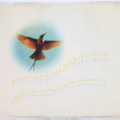Music Musik MAXI CD Beautiful World   Wonderful World Gut