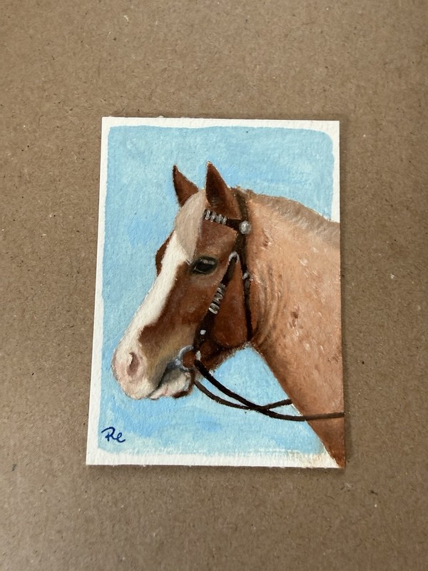 ACEO Art Card Original Oil Painting Roan Shetland Pony Portrait Series Western