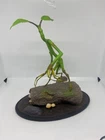 Wizarding World Prime 1 Studio Life Scale Masterline 10.8” Pickett Statue -