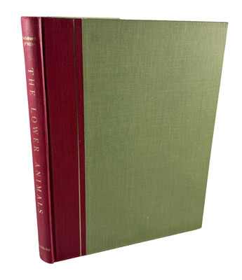 The Lower Animals Living Invertebrates of the World by Ralph Buchsbaum 1966 HC