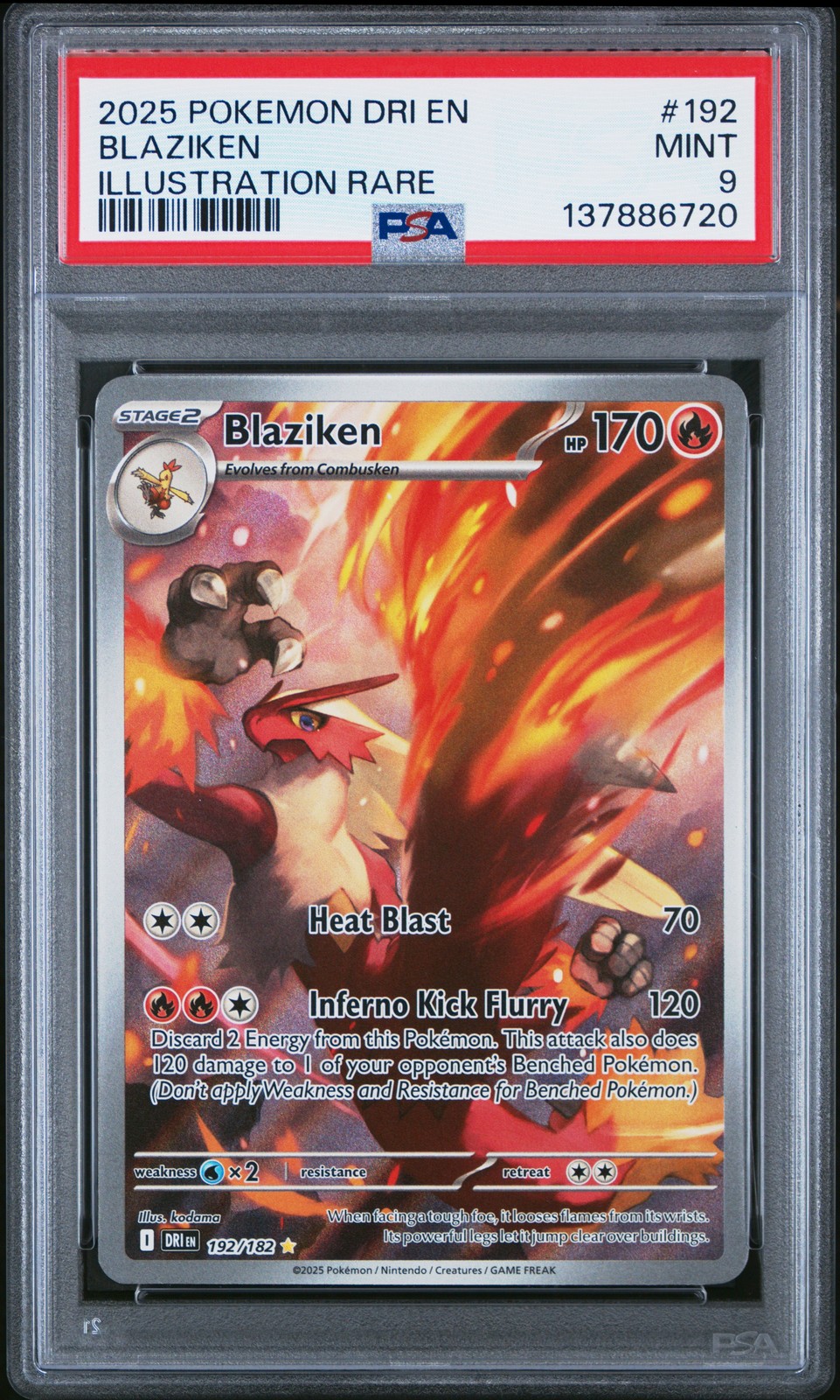 Blaziken #192