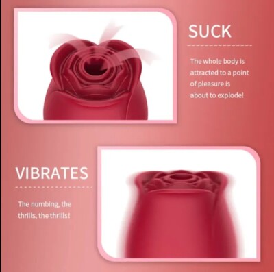 POPULAR Rose Clitoral Pleasure Point Oral Sucking Vibrating 10 Speed Sex Toy | eBay POPULAR Rose Clitoral Pleasure Point Oral Sucking Vibrating 10 Speed Sex Toy | eBay