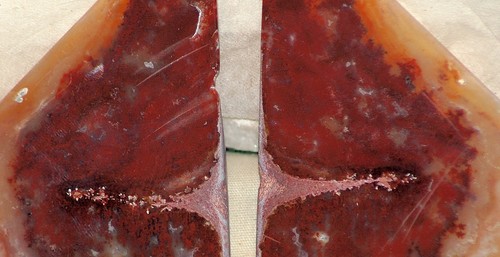 Carey Plume Agate Lapidary Display collection Butterfly'd slab pair - Picture 3 of 11