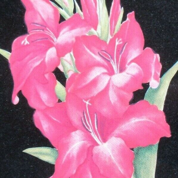 Bild 2 von 4