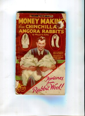 Money Making Chinchilla Rabbits 64pp | eBay