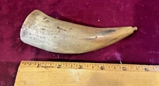 9 INCH ANTIQUE POWDER HORN 19th CENTURY WITH ORIGINAL HAND CARVED PLUG