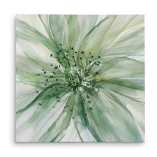 Wexford Home Macro Sage Flower II Gallery Wrapped Canvas Wall Art, 32x32,