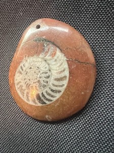 Ammonite Fossil Stone Pendant Prehistoric Shell in Jasper Matrix Natural Fossil