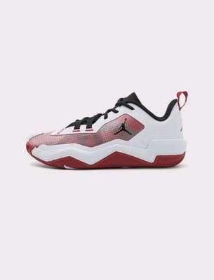 NIKE JORDAN ONE TAKE 4 White/Team Crimson-Black DZ3338 100 US 15 EUR 49.5