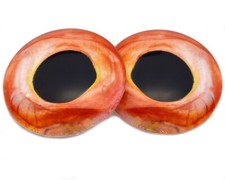 Pair Veined Peach Red Fish Glass Eyes Jewelry Doll Taxidermy Flatback Cabochons