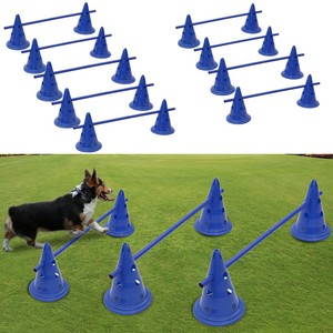 dog agility cones