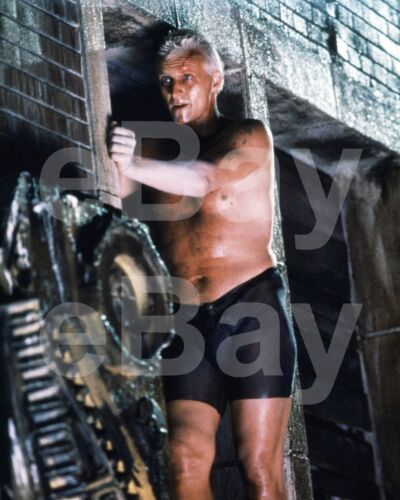 Blade Runner (1982) Rutger Hauer 10x8 Photo - Picture 1 of 1