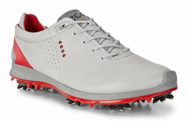 ecco mens biom hybrid 2 gtx