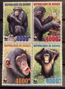 Guinea WWF Chimps,MI#4222-4225 CV€9.-, Complete block of 4 as issued in 2006