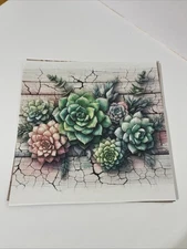 Scrapbook Ephemera 8.25 X 8.25  Medium Weight  Cardstock Pack. 6pc. Succulents.