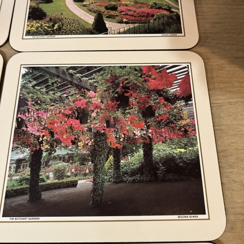 Vintage Set of 6 Butchart Gardens Souvenir Coasters in Box Peacock Pictures - Picture 7 of 10