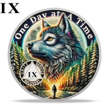 9 Years AA Chips Unique Polar Wolf Sobriety Coin One Day at a Time Medallion