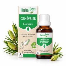 Bourgeon de Genévrier Bio HerbalGem – Macérat-Mère Concentré – 30 ml