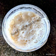 San Francisco style SOURDOUGH STARTER 140 years bakery VERY STRONG
