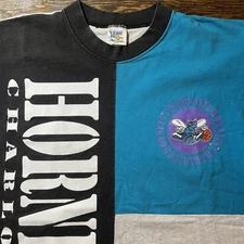 Vintage 90s Charlotte Hornets NBA TShirt L Official Fan Colorblock Retro 