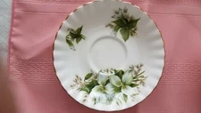 Vintage Royal Albert Bone China 1 single saucer in the Trillium Pattern Ex Cd