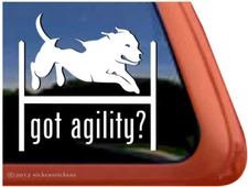Got Agility? | Pitbull Pit Bull Terrier Agility Dog Vinyl Decal Sticker