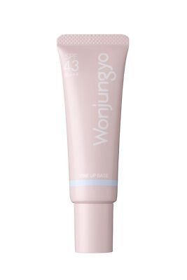 Wonjungyo Tone Up Base NA Primer 25g Radiant Skin 01 Sky Blue Natural Type Japan