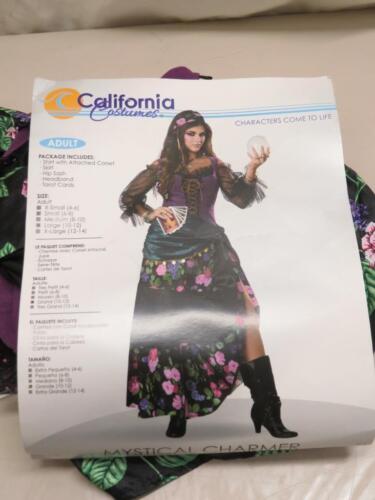California Costumes Mystical Charmeur Halloween Zigeuner Wahrsagerin groß 10-12 - Bild 2 von 4