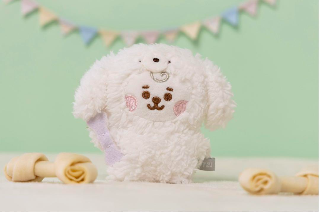 BTS BT21 Baby RJ JIN Plush Mascot Dog Ver S Size Line Friends New