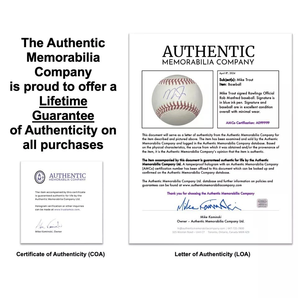 Coche modelo diecast Solido Break Peugeot 504 con portacaballos #616 1/43 23917 Foto 4 de 4