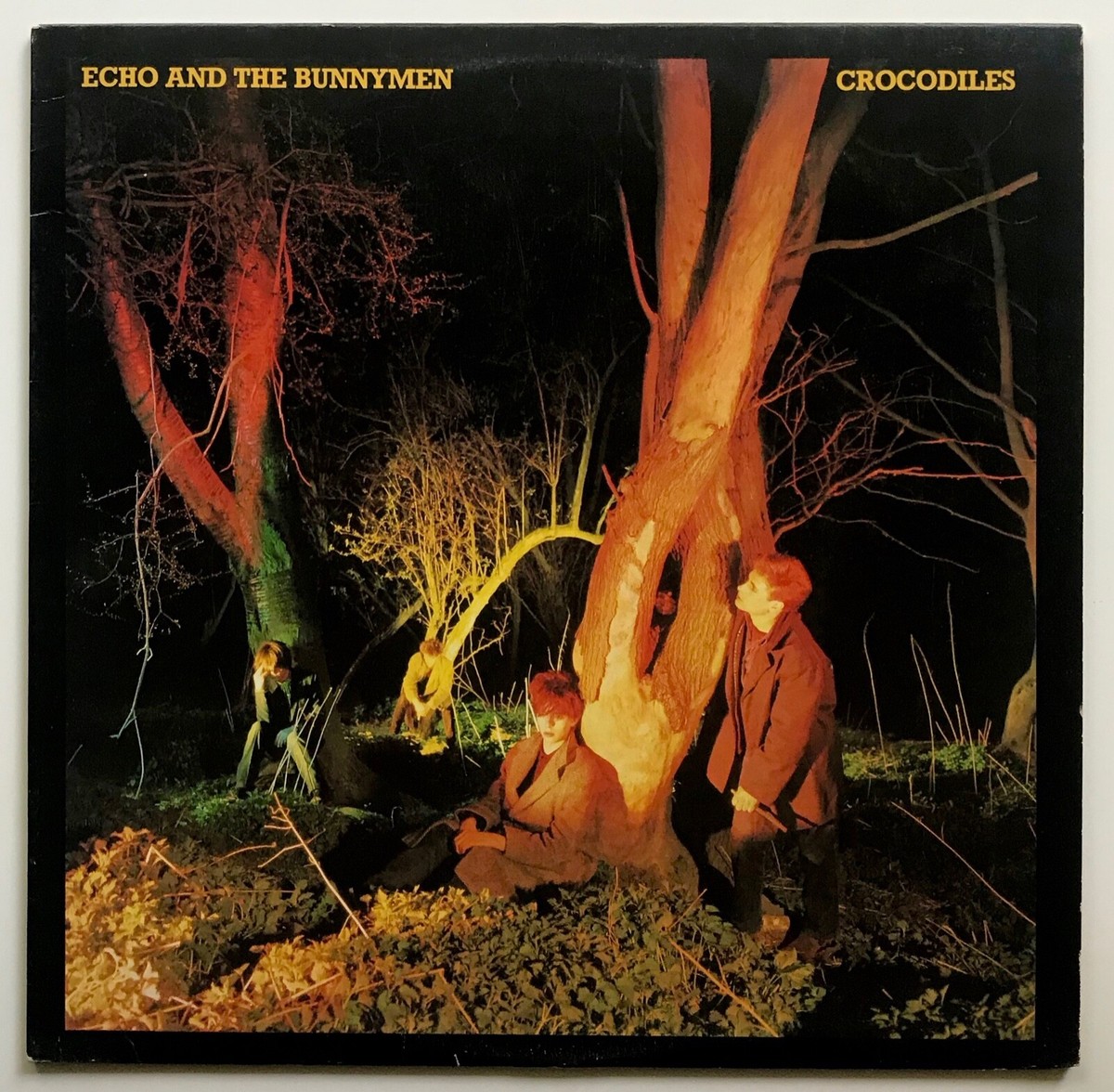 ORIGINAL 1980 ECHO & THE BUNNYMEN Album CROCODILES Lp Record VINYL