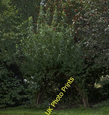 Foto 12x8 Dies kann eine gemütliche Ecke werden gegebene Zeit Rishton Im Moment ist es c2016