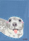 ACEO OG Art Painting The Silly Seal by XMB | The Seal Team #1/5 | 2.5x3.5 — photo 1